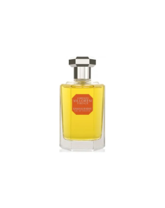 Lorenzo Villoresi...