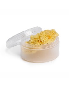 Suavinex Medium Natural Sponge