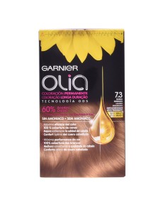 Garnier Olia Permanent...